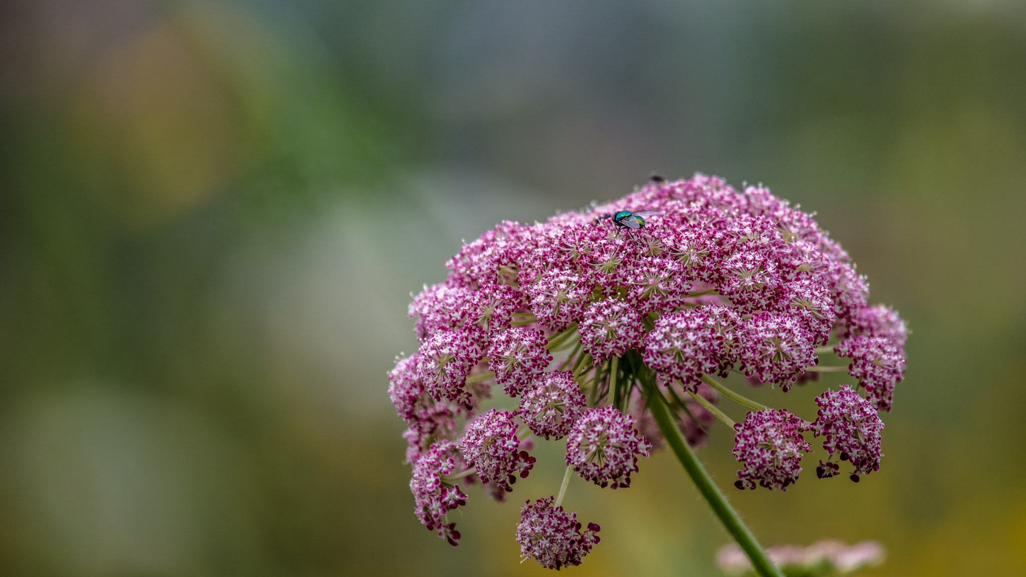 20210725100623 017880